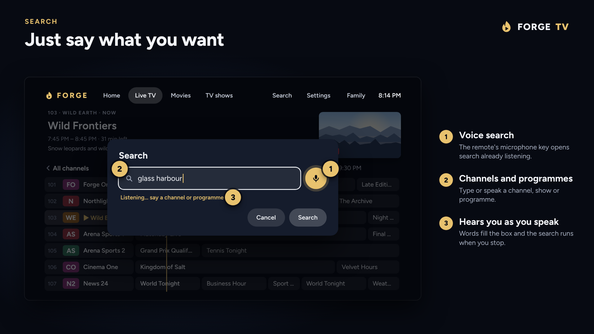 Voice search over the guide